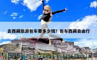 去西藏旅游包车要多少钱？包车西藏自由行
