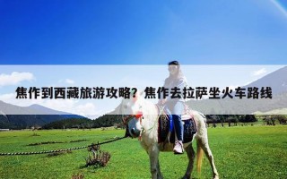 焦作到西藏旅游攻略？焦作去拉萨坐火车路线