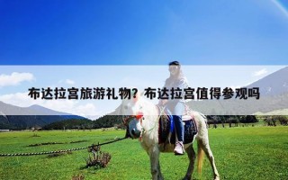 布达拉宫旅游礼物？布达拉宫值得参观吗