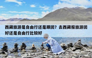 西藏旅游是自由行还是跟团？去西藏报旅游团好还是自由行比较好