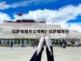 拉萨有租车公司吗？拉萨租车行