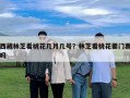 西藏林芝看桃花几月几号？林芝看桃花要门票吗