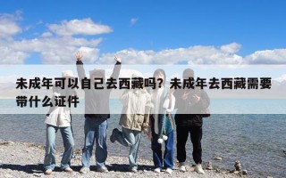 未成年可以自己去西藏吗？未成年去西藏需要带什么证件