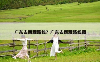 广东去西藏路线？广东去西藏路线图
