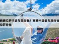 西藏拉萨市青年旅行社？西藏中国青年旅行社拉萨分社
