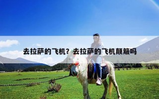 去拉萨的飞机？去拉萨的飞机颠簸吗