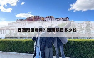 西藏跟团费用？西藏跟团多少钱