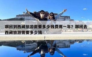 跟团到西藏旅游需要多少钱费用一年？跟团去西藏旅游需要多少钱