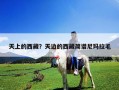 天上的西藏？天边的西藏简谱尼玛拉毛