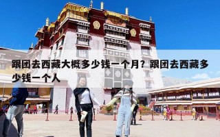跟团去西藏大概多少钱一个月？跟团去西藏多少钱一个人
