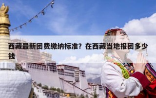 西藏最新团费缴纳标准？在西藏当地报团多少钱