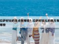 拉萨好玩的景点有哪些？拉萨好玩儿的地方有哪些