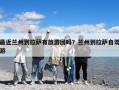 最近兰州到拉萨有旅游团吗？兰州到拉萨自驾游