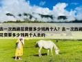 去一次西藏花费要多少钱两个人？去一次西藏花费要多少钱两个人去的