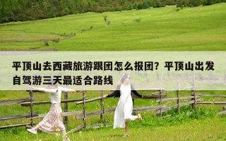 平顶山去西藏旅游跟团怎么报团？平顶山出发自驾游三天最适合路线