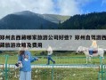 郑州去西藏哪家旅游公司好些？郑州自驾游西藏旅游攻略及费用