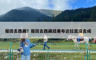 报团去西藏？报团去西藏结果布达拉宫没去成