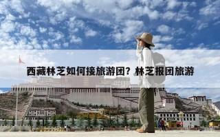 西藏林芝如何接旅游团？林芝报团旅游