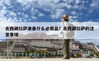 去西藏拉萨准备什么必需品？去西藏拉萨的注意事项