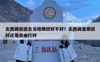 去西藏旅游去当地跟团好不好？去西藏是跟团好还是自由行好