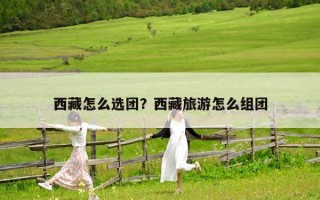 西藏怎么选团？西藏旅游怎么组团