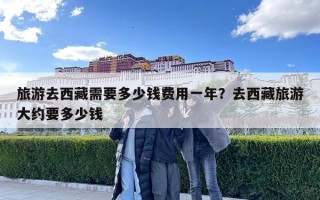 旅游去西藏需要多少钱费用一年？去西藏旅游大约要多少钱