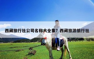 西藏旅行社公司名称大全集？西藏旅游旅行社