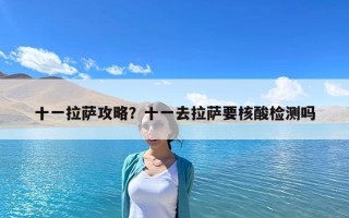 十一拉萨攻略？十一去拉萨要核酸检测吗