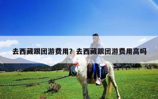 去西藏跟团游费用？去西藏跟团游费用高吗