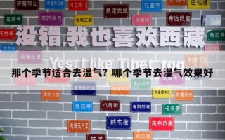 那个季节适合去湿气？哪个季节去湿气效果好