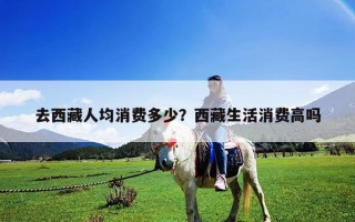 去西藏人均消费多少？西藏生活消费高吗