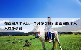 在西藏八个人玩一个月多少钱？去西藏四个人人均多少钱