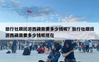 旅行社跟团游西藏需要多少钱呢？旅行社跟团游西藏需要多少钱呢现在
