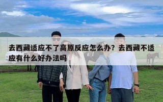 去西藏适应不了高原反应怎么办？去西藏不适应有什么好办法吗
