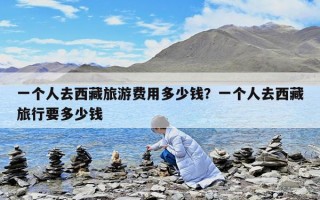 一个人去西藏旅游费用多少钱？一个人去西藏旅行要多少钱