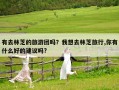 有去林芝的旅游团吗？我想去林芝旅行,你有什么好的建议吗?