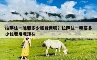 拉萨住一晚要多少钱费用呢？拉萨住一晚要多少钱费用呢现在