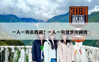一人一狗去西藏？一人一狗徒步川藏线