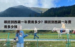 跟团到西藏一年费用多少？跟团到西藏一年费用多少钱