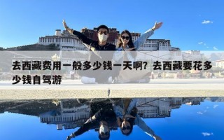 去西藏费用一般多少钱一天啊？去西藏要花多少钱自驾游