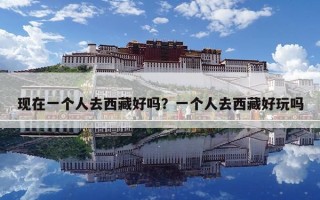 现在一个人去西藏好吗？一个人去西藏好玩吗