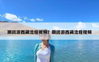 跟团游西藏流程视频？跟团游西藏流程视频
