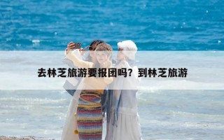 去林芝旅游要报团吗？到林芝旅游