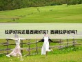 拉萨好玩还是西藏好玩？西藏拉萨好吗?