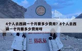 4个人去西藏一个月要多少费用？4个人去西藏一个月要多少费用呀