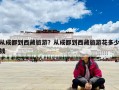 从成都到西藏旅游？从成都到西藏旅游花多少钱