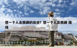 想一个人去西藏的说说？想一个人去西藏 路线