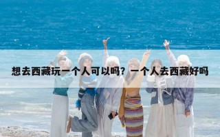 想去西藏玩一个人可以吗？一个人去西藏好吗