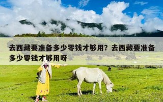 去西藏要准备多少零钱才够用？去西藏要准备多少零钱才够用呀