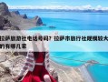 拉萨旅游社电话号码？拉萨市旅行社规模较大的有哪几家